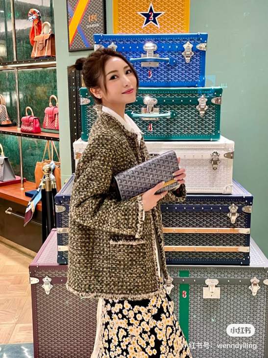 Picture of Goyard Handbags _SKUfw225671302fw